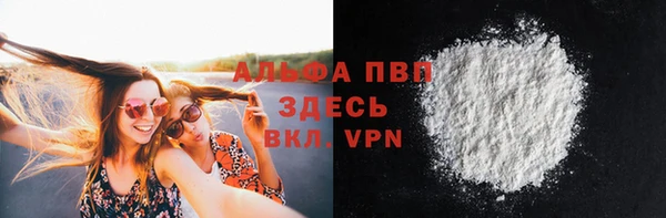 PSILOCYBIN Балахна