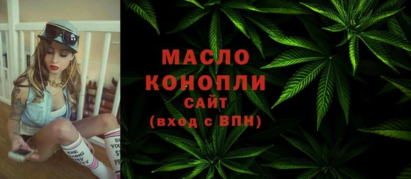 индика Армянск